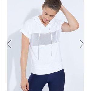 Zobha moisture wicking shirt